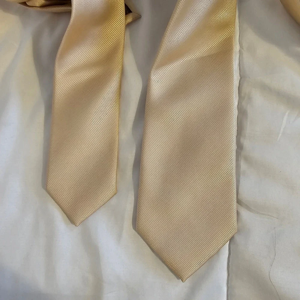 Elegant Champagne Gold Textured‎ Necktie for Men Formal Business Accessory
